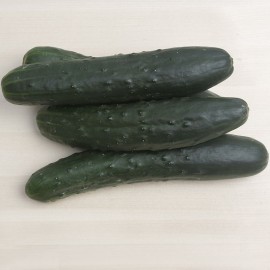 Cogombre ecològic