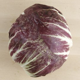 Radiccio ecològic