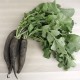 Rave negre ecològic