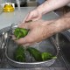 Pebrot italià ecològic, amb certificació CCPAE