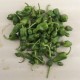 Pebrots del padrón ecològics