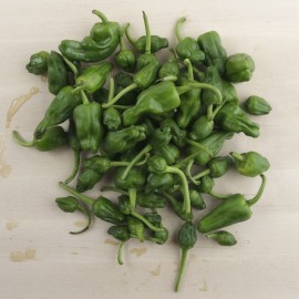 Pebrots del padrón ecològics