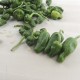 Pebrots del padrón ecològics