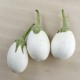 Albergínia blanca