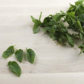 Menta ecològica