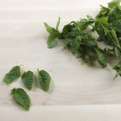 Menta ecològica