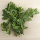 Menta ecològica