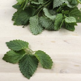 Tarongina ecològica