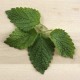Tarongina ecològica