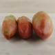 Tomàquet colló de frare ecològic