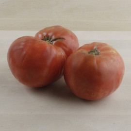 Tomàquet rosa ple ecològic